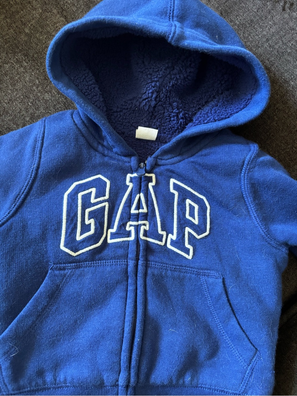 GAP Sherpa Lined Hoodie